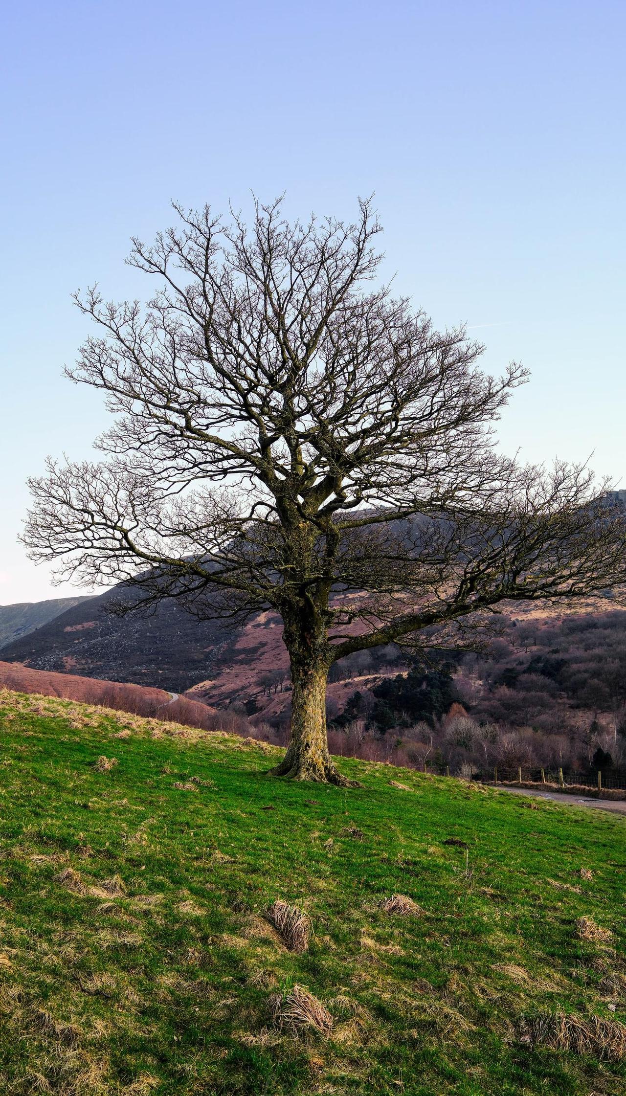 曼城周边徒步好去处2曼城皮卡迪利车站25min到达greenfield再打个