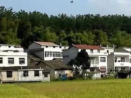 听说宅基地可以有偿退出政策来了，作为一个在农村长大的农民来说，我是又期盼又害怕。