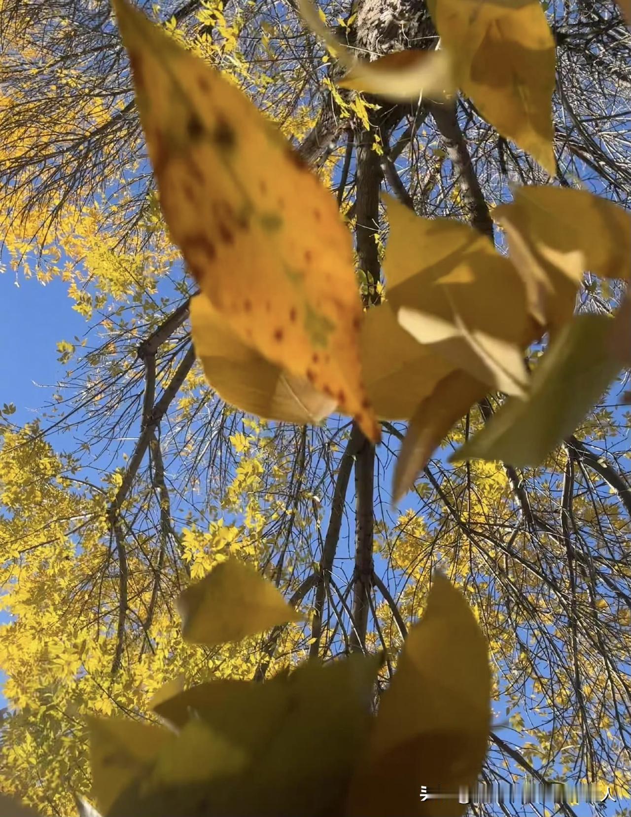 我同学已经拿到了退休证，已在大学上了2个班了，是做女生宿舍的宿管阿姨。今年5