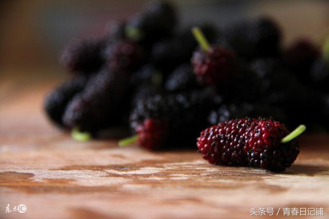 强肾补脾胃的食物你知道多少?