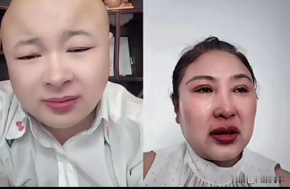 狼狗假离婚变成真离婚，狗妈心疼儿子痛哭！老狗和白羽假离婚
