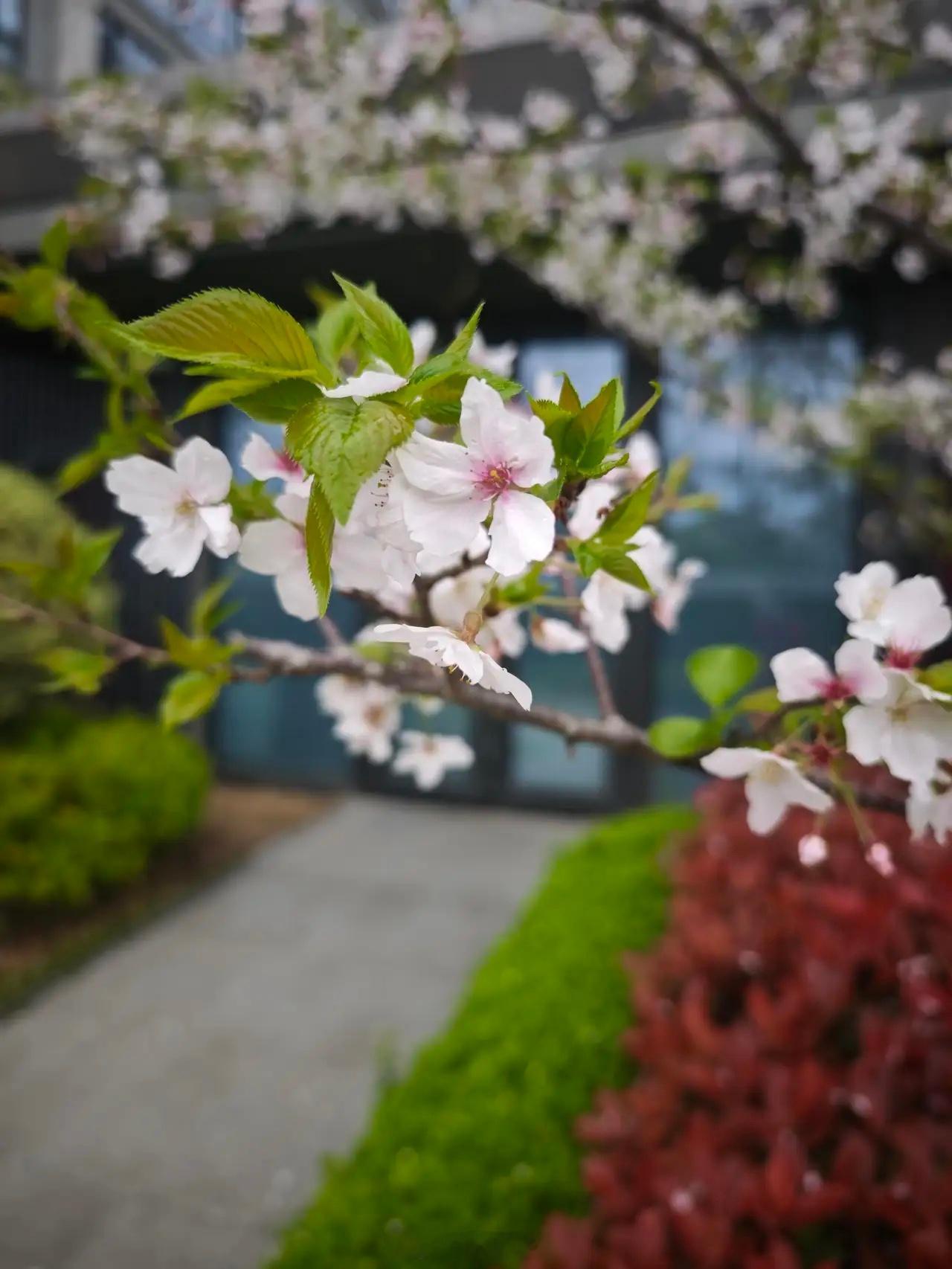 你的公积金是什么等级？1、100——福利而己2、300——稍微好一点3、500—