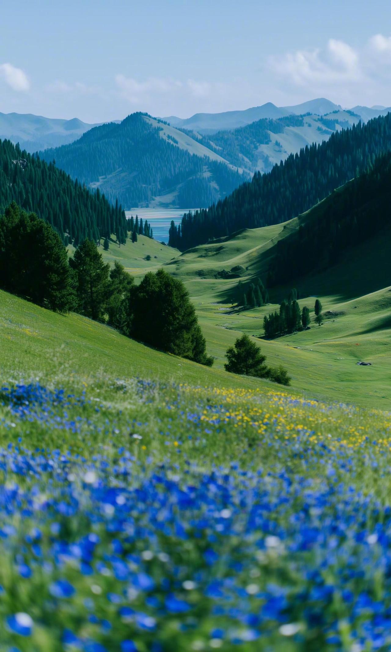 喜欢旷野是缘于能感受到爱和自由...