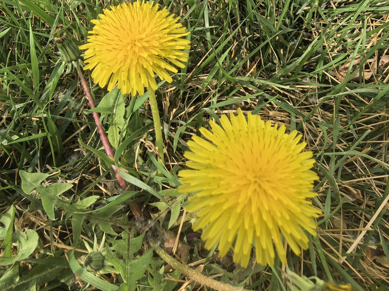 老婆躺在老公怀里问：“老公，你要是有100亿，你想做的第一件事是什么？”“把你