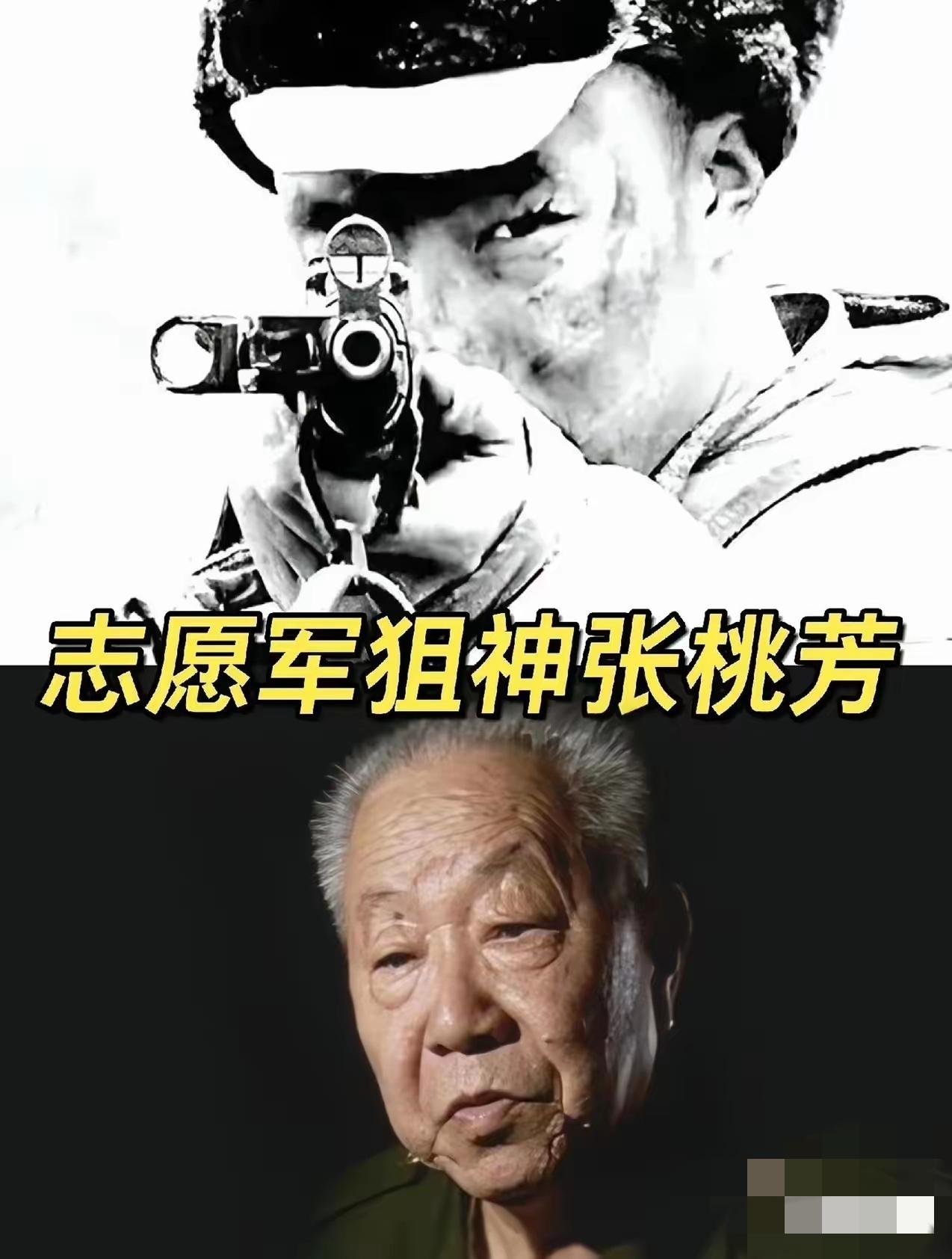 1953年上甘岭狙杀对决：张桃芳诈死反杀，美军顶尖狙击手毙命瞬间1953年