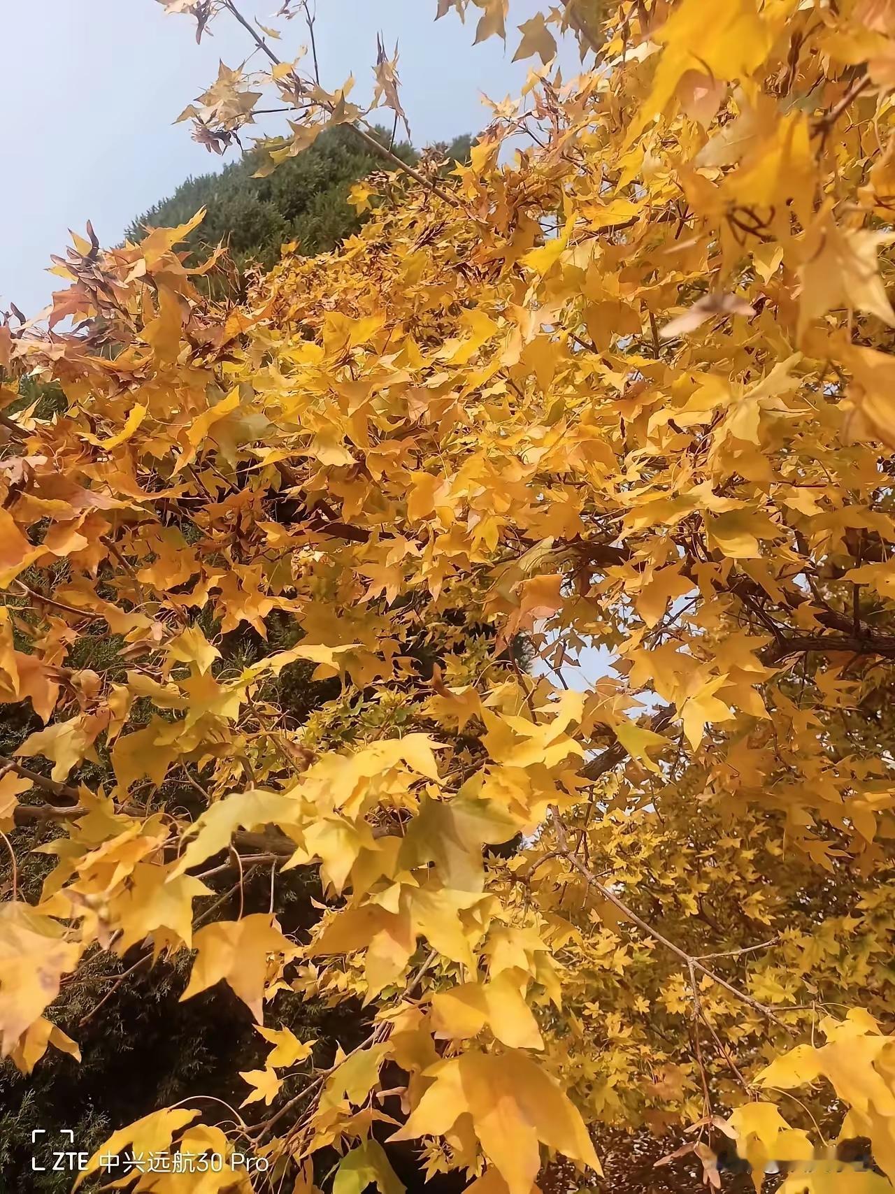 人在江湖想成事，必备的十大生存心法：1、第一心法：沉气，遇事不慌不躁...