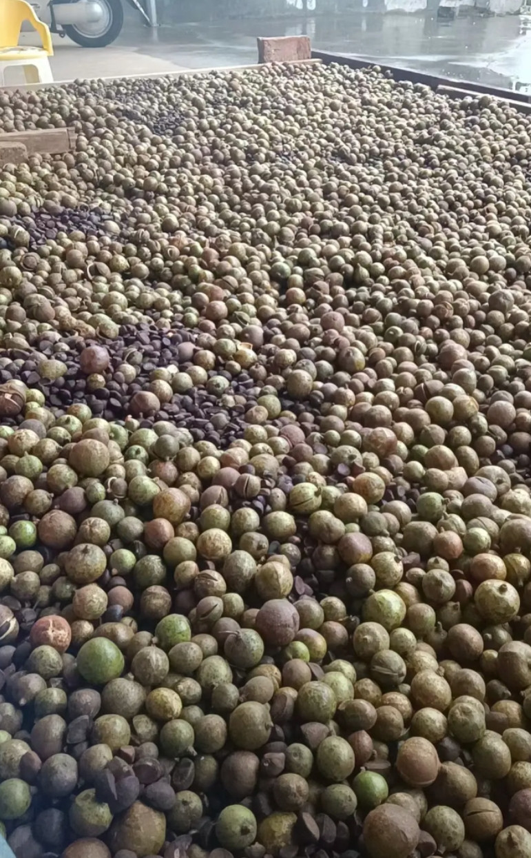 别动不动就说回农村，都认识这是什么吗？