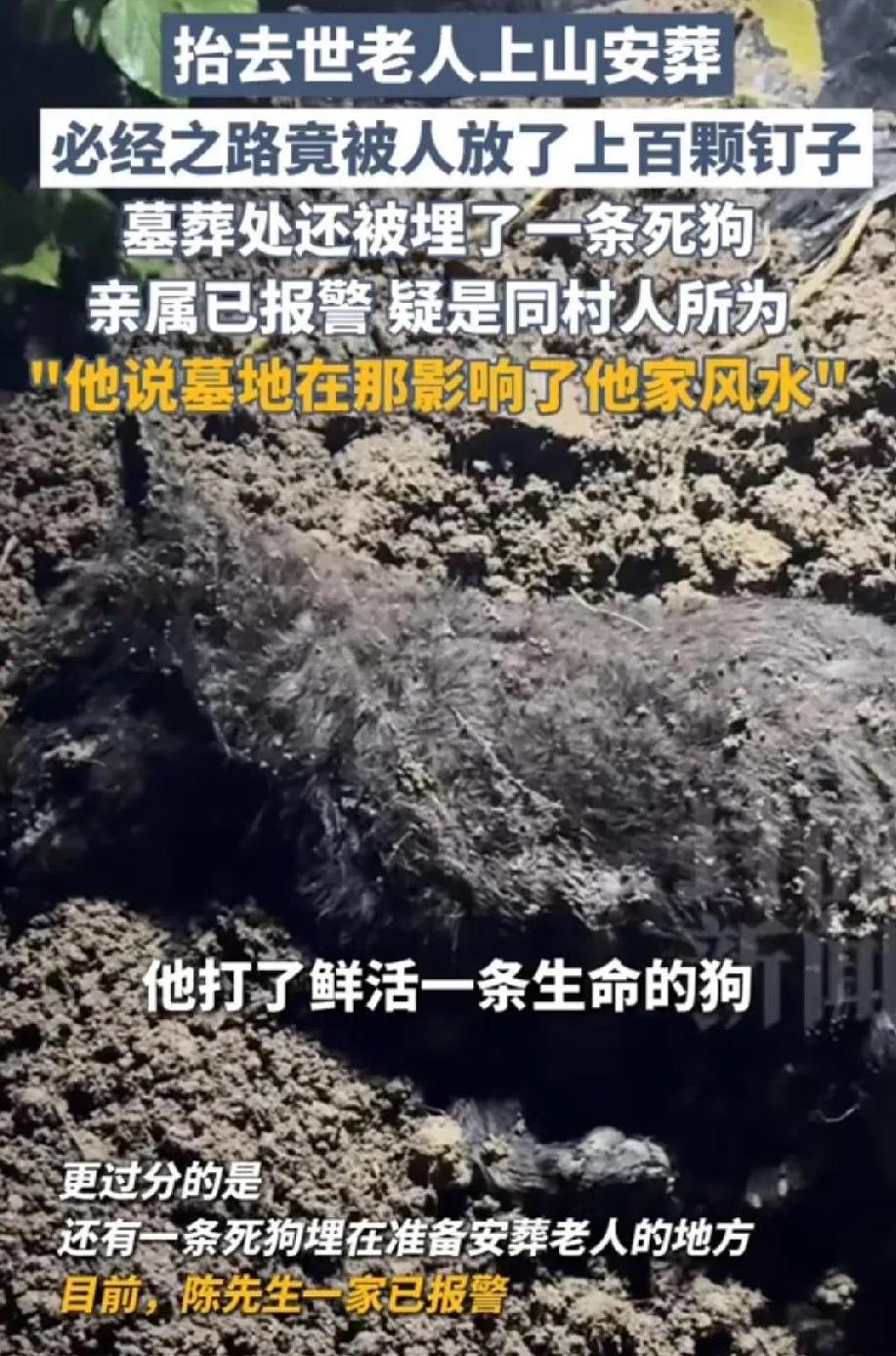 重庆一老人去世，家人准备将遗体安葬在自家地里，谁料，安葬必经路上，被人放了100