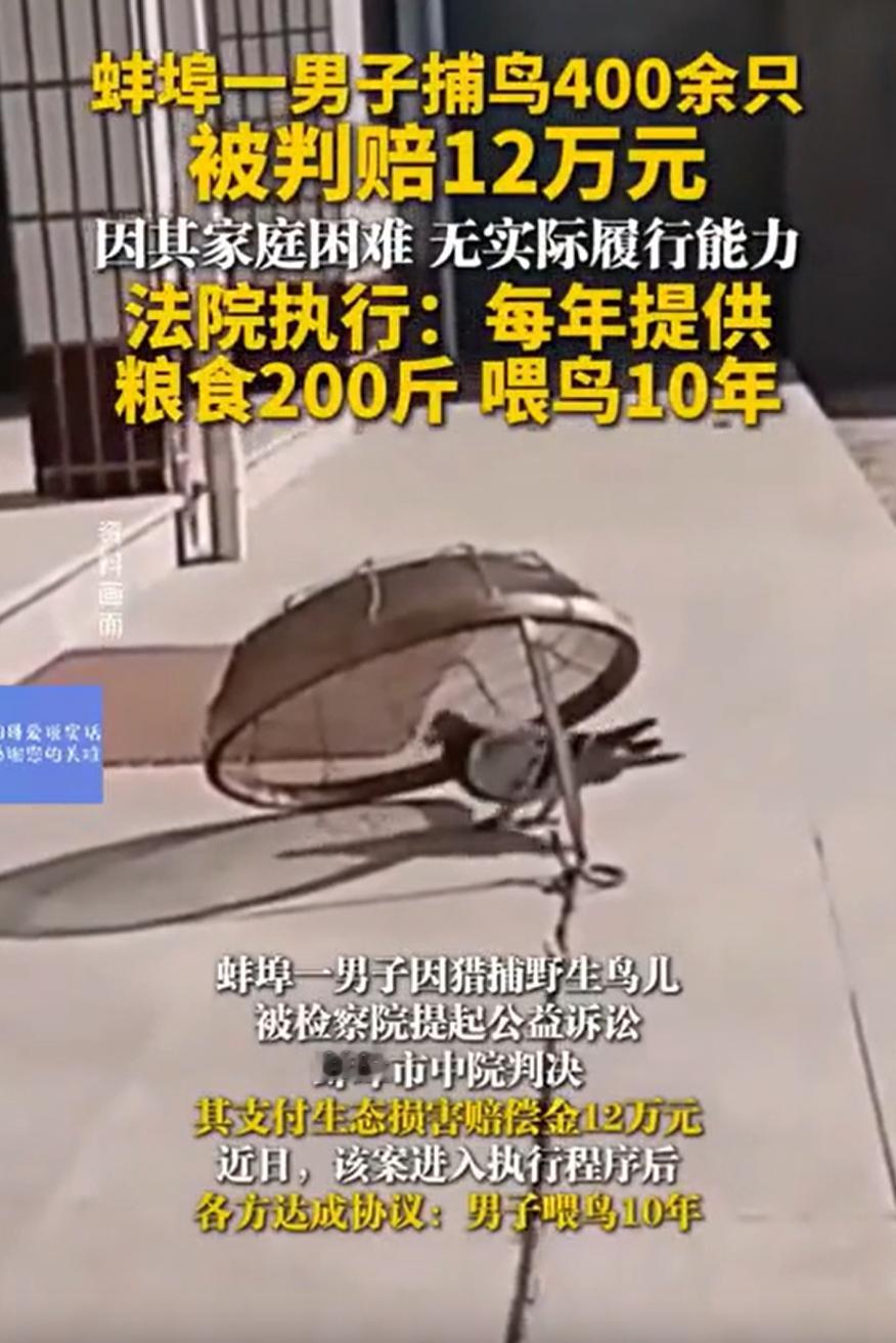给这位法官点赞！安徽蚌埠，一男子因猎捕野生鸟儿400只被法院起诉赔偿12万元，男
