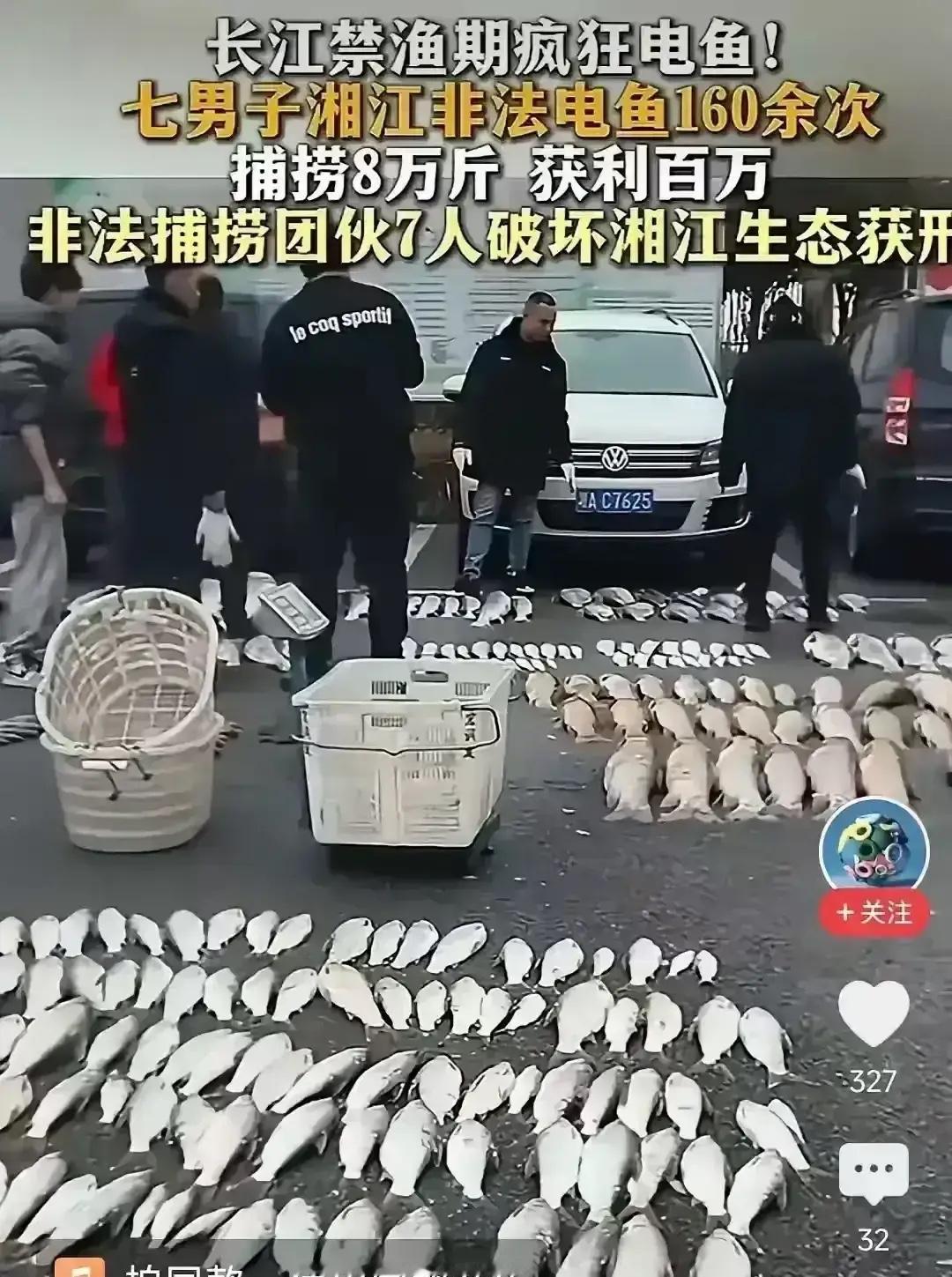 7个人开着改装铁壳船，夜里溜进湘江衡阳段，把发电机往水里一插，电流一过，鱼翻肚就