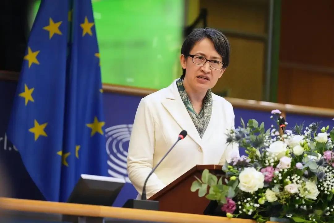 必须给欧洲一个教训!在当地时间11月8日，欧洲议会公然邀请台湾地区副领导人、“台