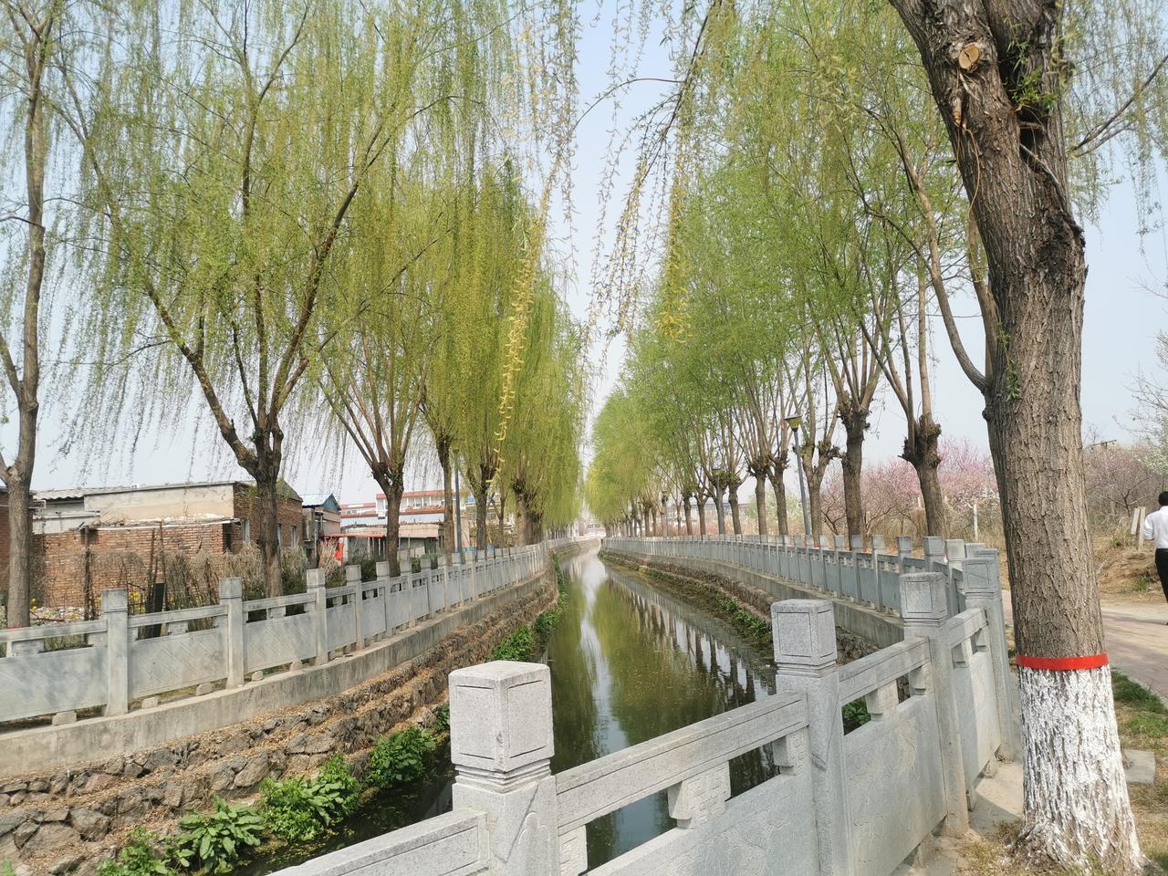 今年淇县一中高考理科最高分684，特控线（一本线）上线215人，本科上线817人
