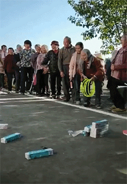 爆笑GIF: 妹子, 没事逗猪干嘛呢?