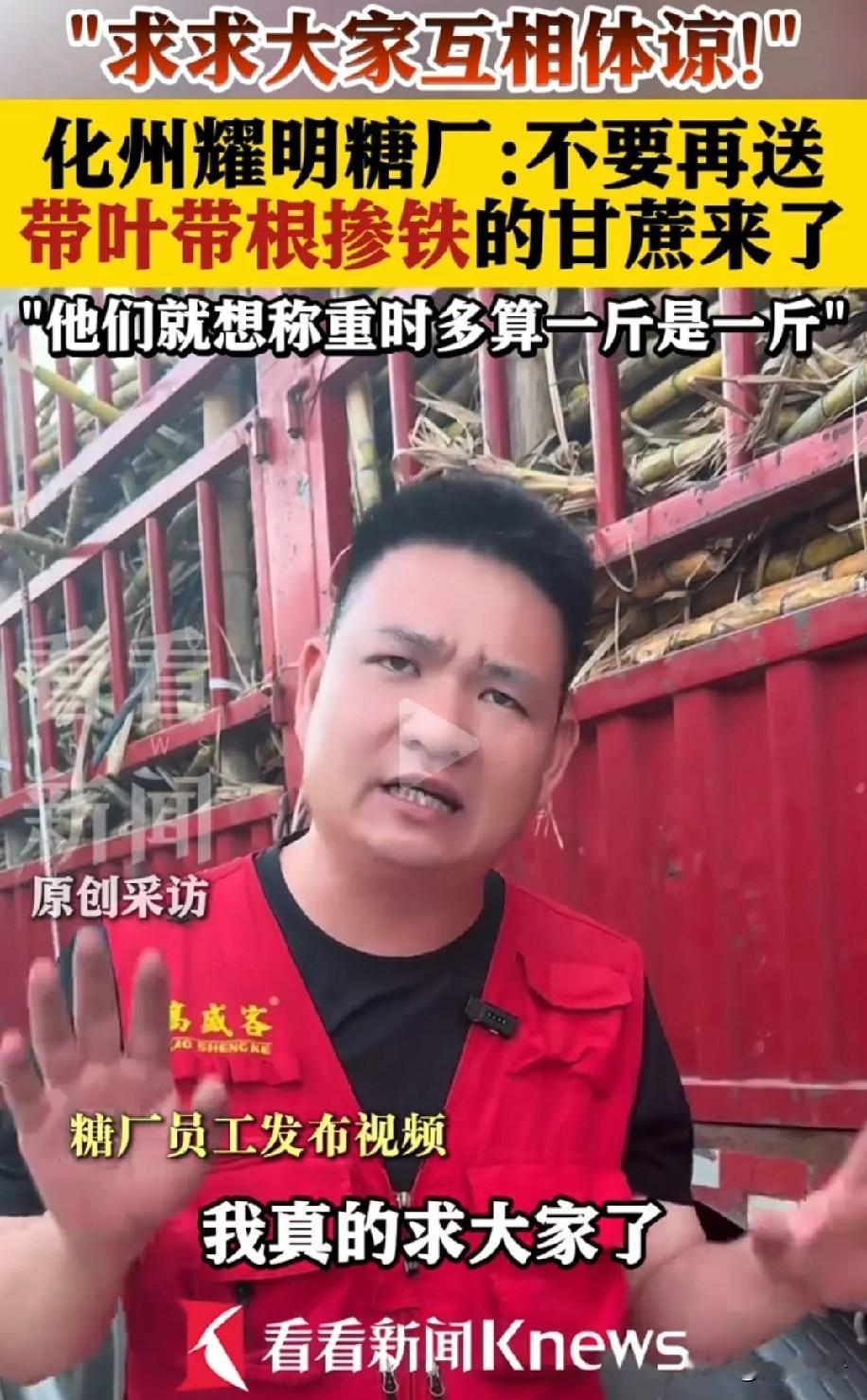 “我真的求大家了，一定要体谅我们！”化州耀明糖厂工作人员的这番话，听着太让人心酸