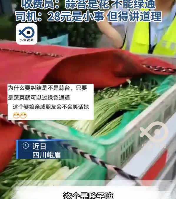离了大谱！四川峨眉，男子开车拉着蒜薹路过高速收费站，本以为可以顺利走绿通，结果却