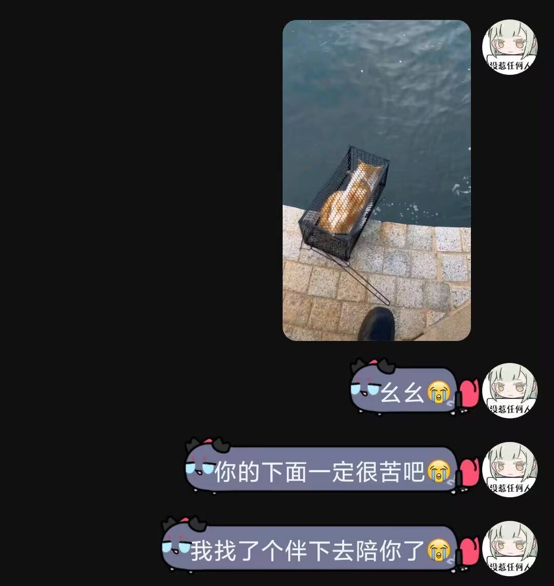 还得是爱猫人士啊​​​