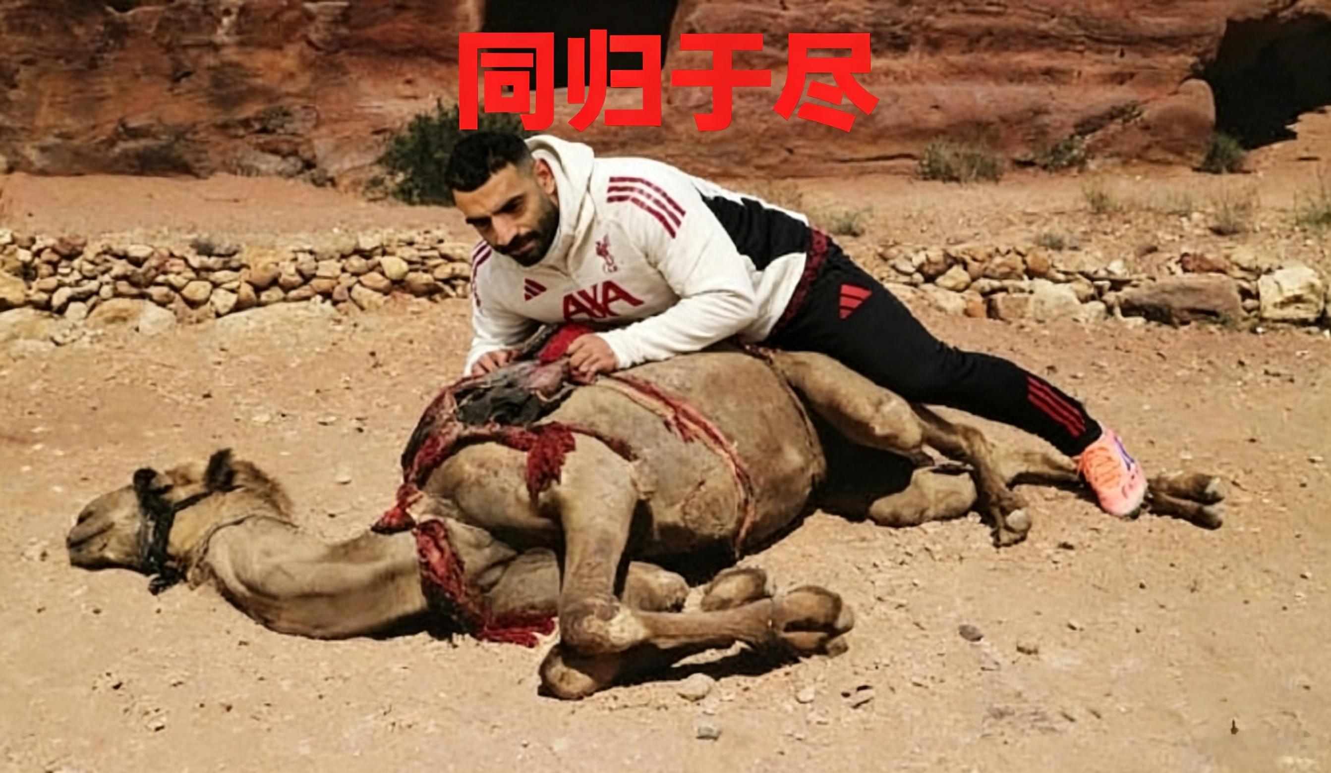 芬威巨头们的联合声明：“对俱乐部而言，做出此番决定万分艰难。斯洛特执教期间贡献卓