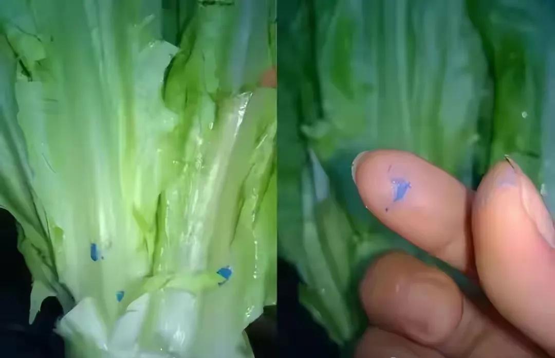 一觉醒来，所有家里有孩子的集体破防！不是快开学，也不是教育新规。而是每家每户