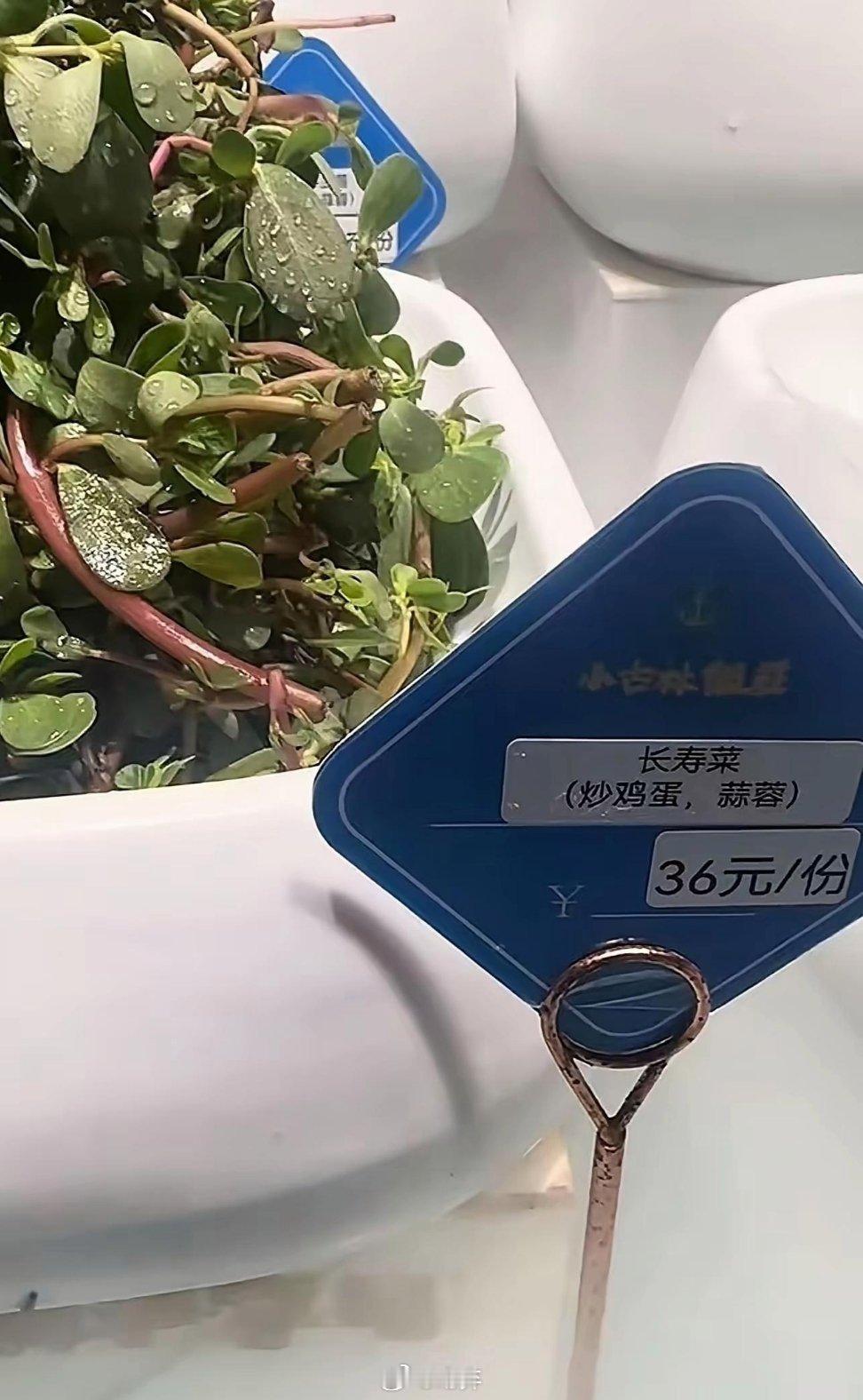 我以为我眼瞎了！看到这一幕，有何感想？你们那把这个叫什么？你知道吗？