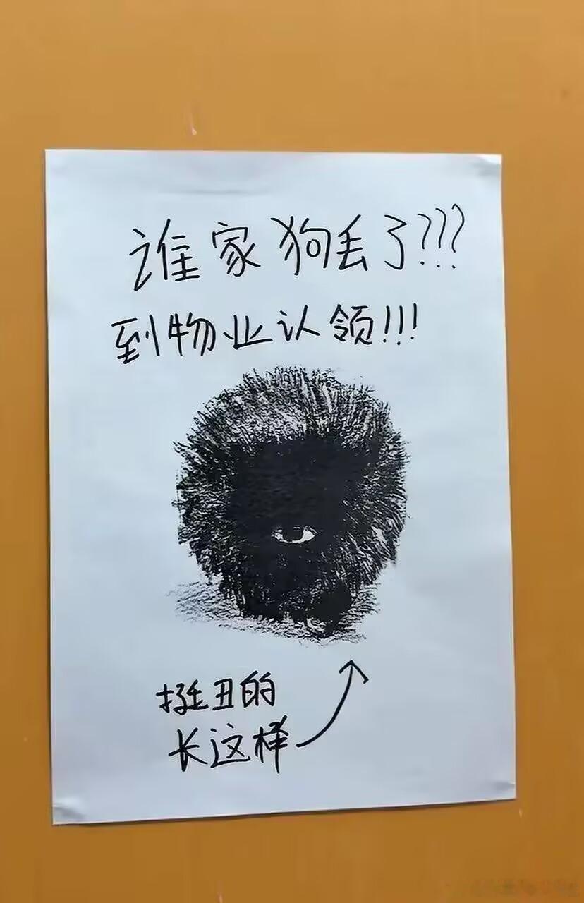 这是狗啊？​​​