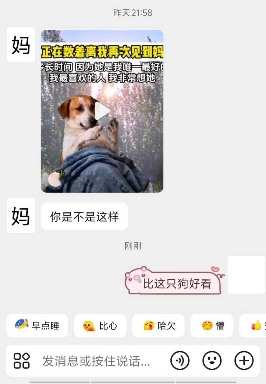 流猪泪了[扁嘴]​​​