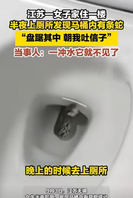 江苏，女子半夜起床上厕所，不料，刚坐上马桶，就感觉下面有东西，她起身打开灯，被吓