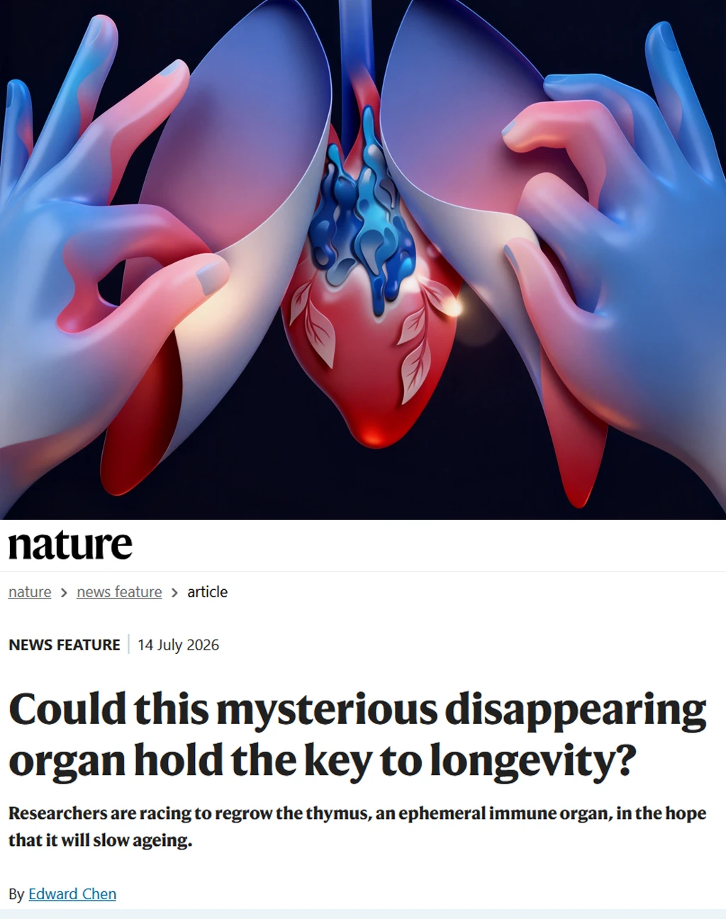 Nature重磅-神秘消失器官或延缓衰老？