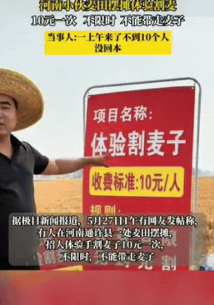 笑出眼泪了！河南小伙想把小麦免费割掉还能赚钱，就搞了个10元/人体验割麦子活动，
