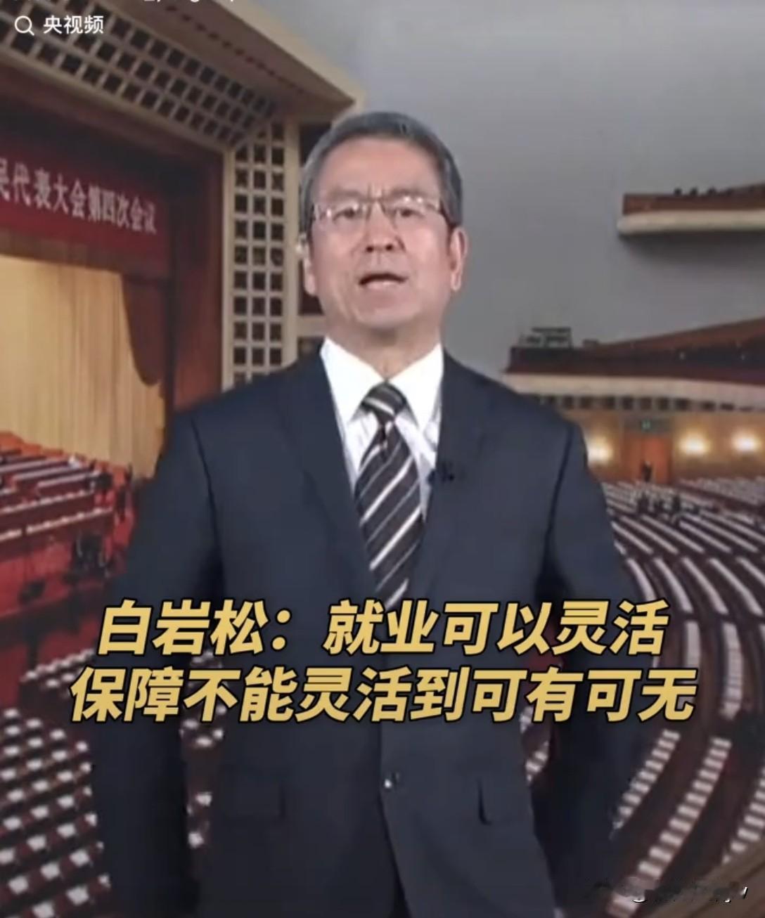 岩松这次没白说！他说“就业可以灵话，保障不能灵活到可有可无！”我国现在灵
