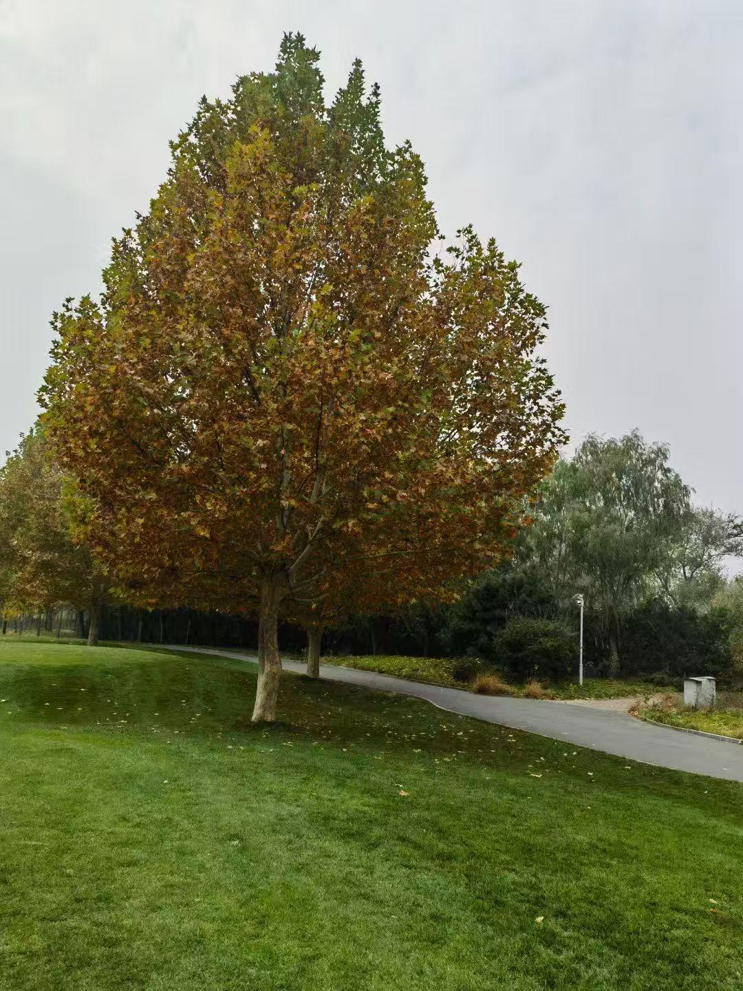 【投行+上市+收并购机会来了】1、如果您有年利润3000万以上企业，可以商讨A