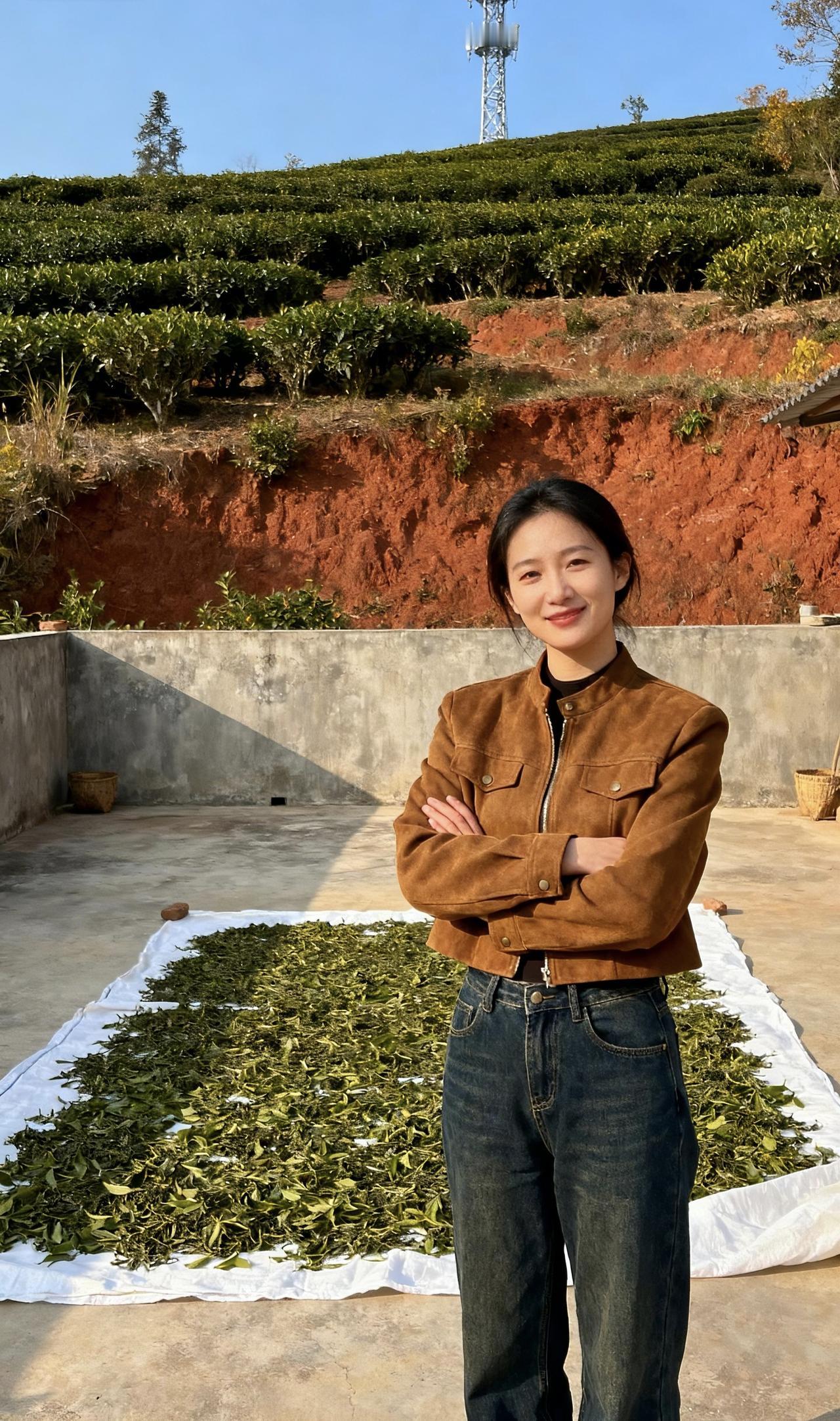 茶园里晒着新茶，阳光明媚。买茶吗？外公家的好茶