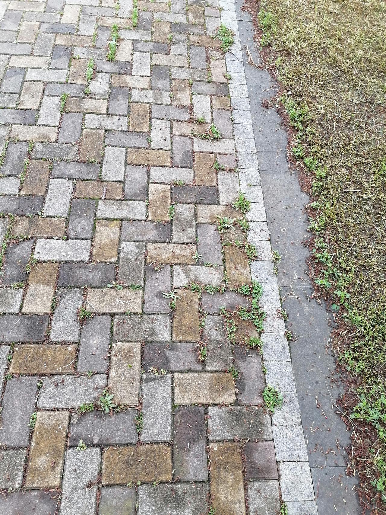 1984年下半年，正值严打高峰。凡是涉及打架斗殴、男女作风等犯罪问题，情节严重的