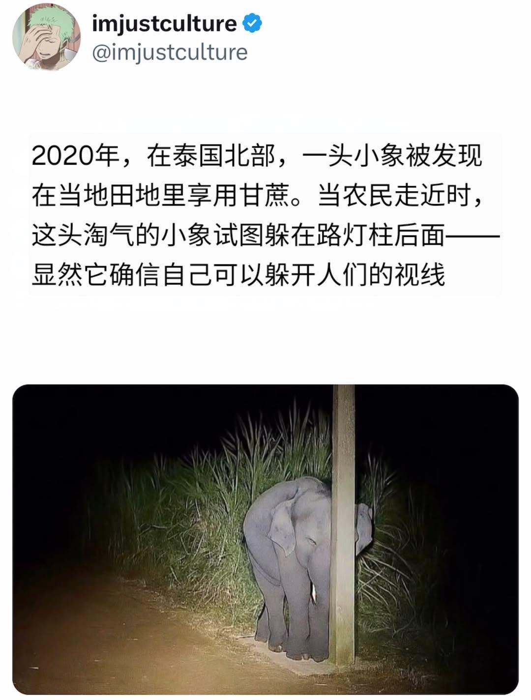 宝宝你那么大只，很难不注意到你​​​