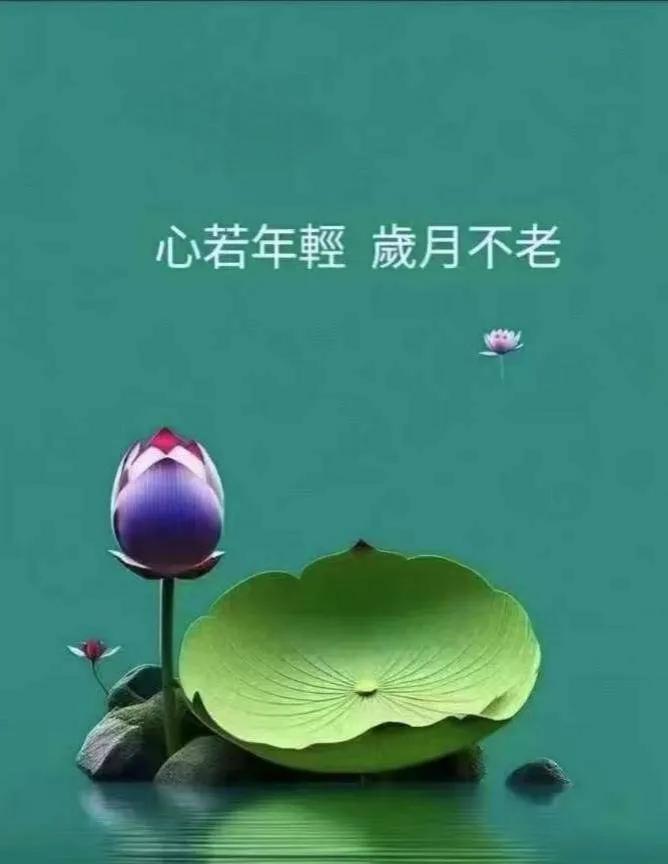 《方圆悟》世态炎凉，人情冷暖，皆于方寸间藏。思那处世良方，过正则伤，太滑亦将