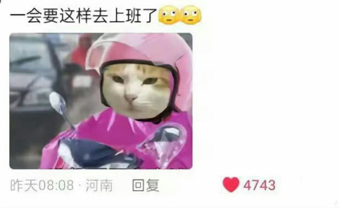 发现大家都在偷偷装大人