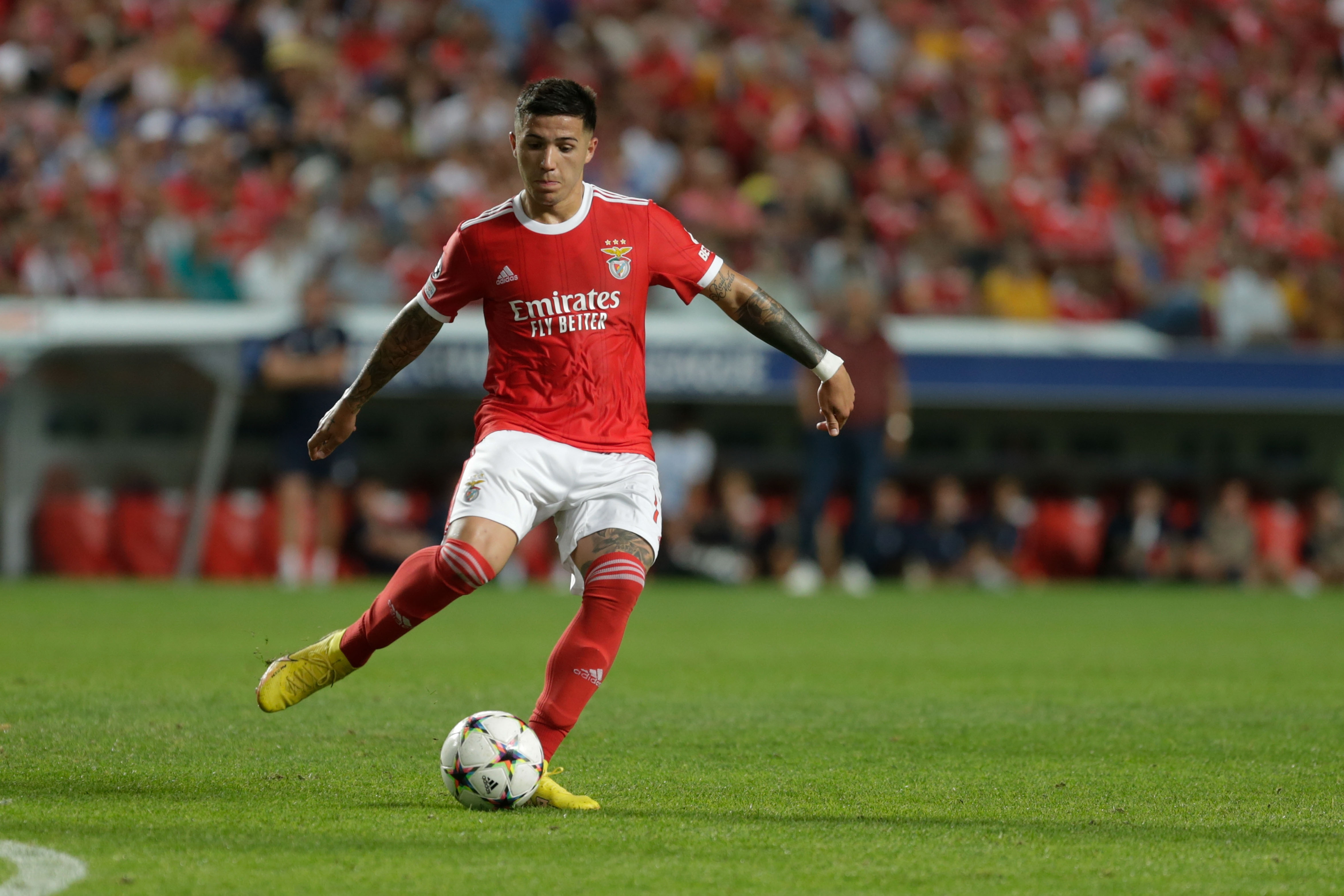 格里马尔多: 本菲卡因恩佐离队几乎崩溃, 但面对1.2亿欧又能如何