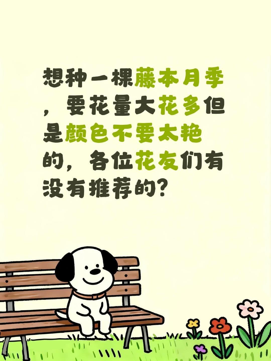 好的藤本月季有没有推荐的？想种一棵藤本月季，要花量大花多但是颜色不要太艳的，各