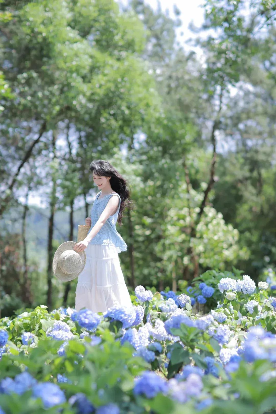 分享甜美小姐姐随手拍花与人共享美人靓照