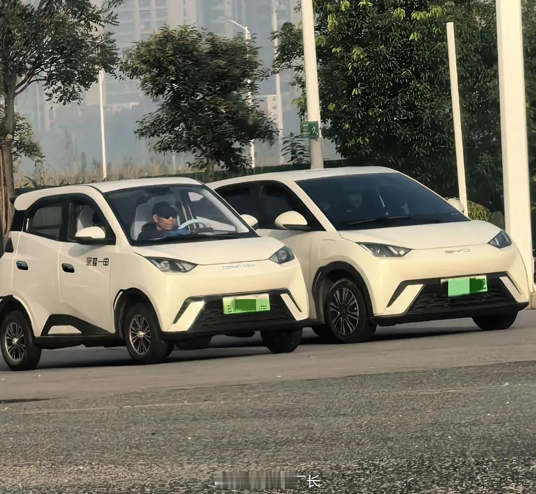 比亚迪海鸥：哎呦大爷，你这小车可不合法呀[惊恐]海鸥老头版：不懂了吧！合法是你最