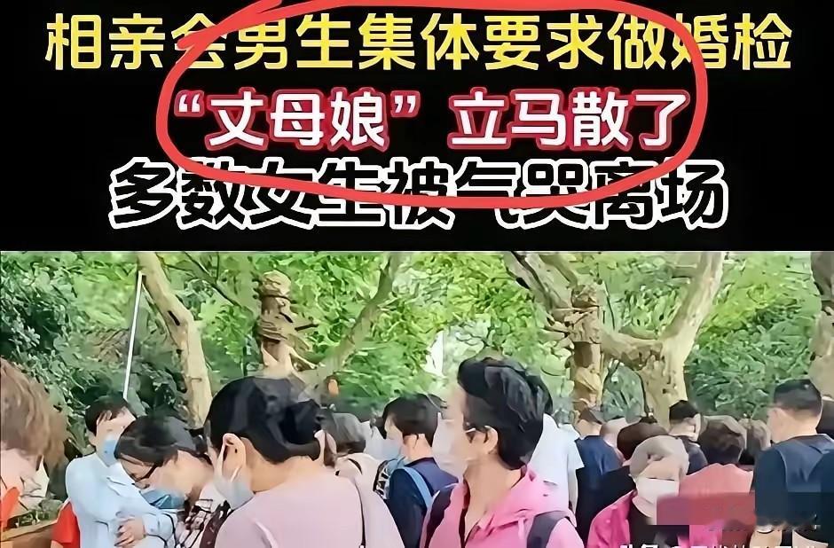 如今的相亲市场，男生选择对象越来越严格，女生的要求也是越来越高，两者根本不