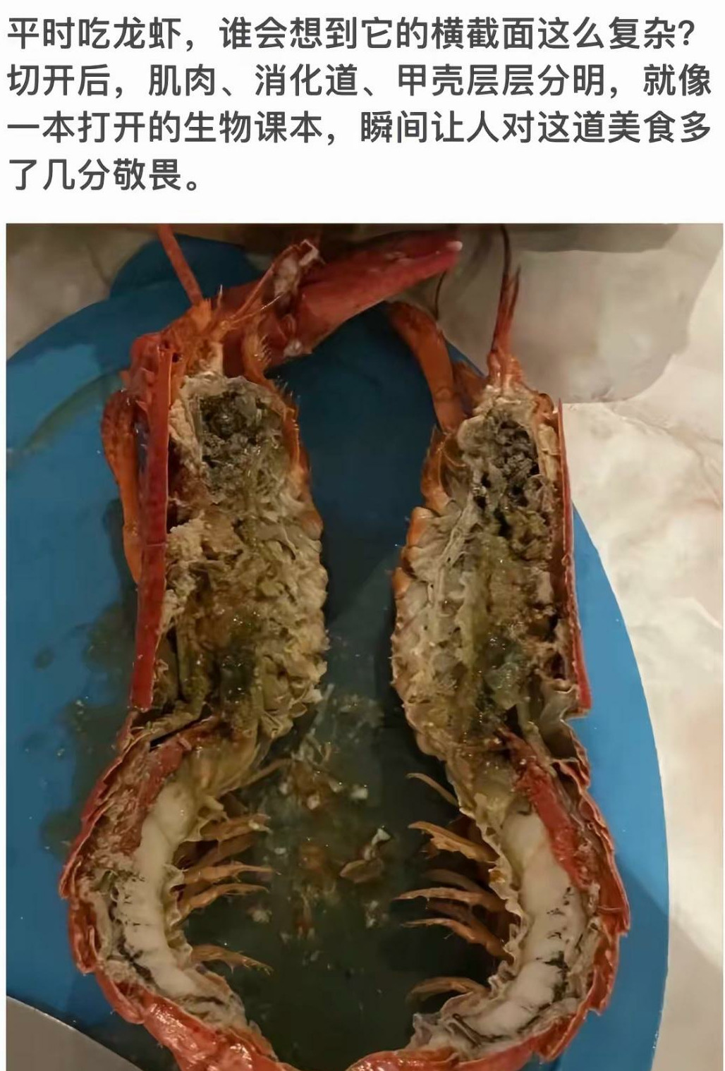 龙虾竖切，咋突然感觉没胃口了