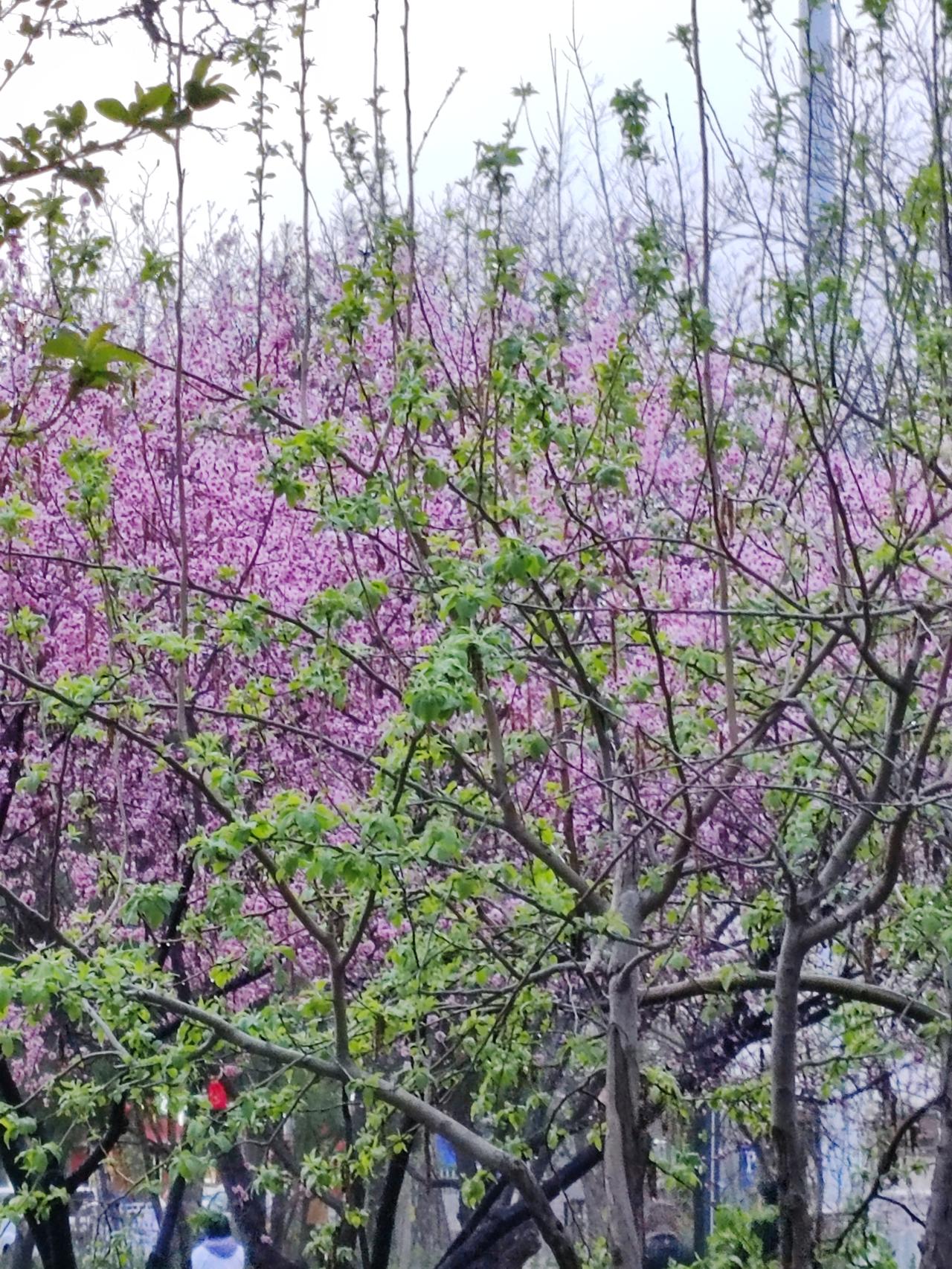 记得宋朝时，佛印、苏轼、王安石、宋神宗都写过“酒色财气”诗。佛印写道：“酒色财气