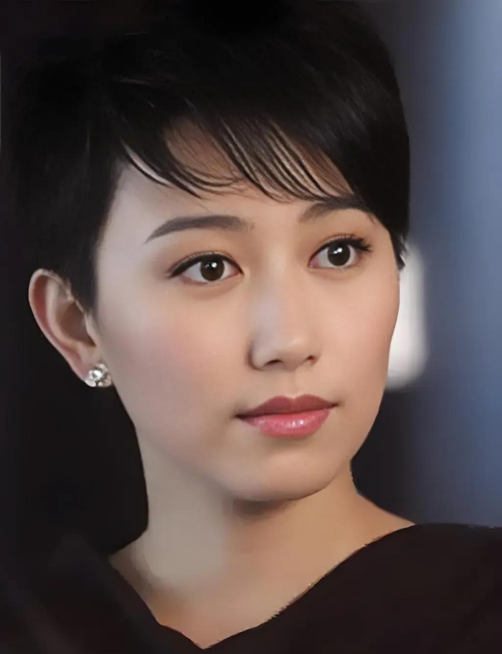 演员丁柳元说，我是1977年生人，父母都是高级工程师，早年间在北戴河农村插队，我