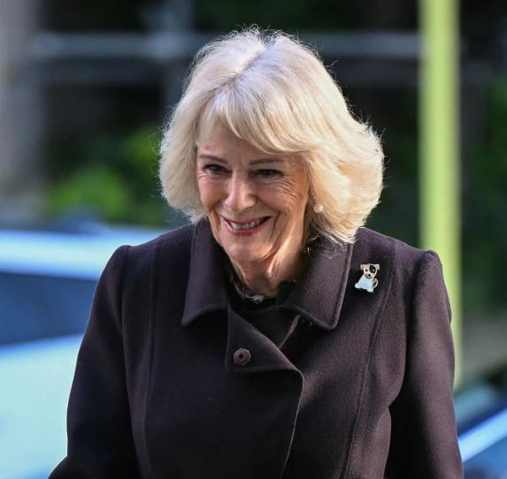 戴安娜王妃的生命，永远定格在了她36岁那一年，如今77岁的卡米拉王后已经洗白成为