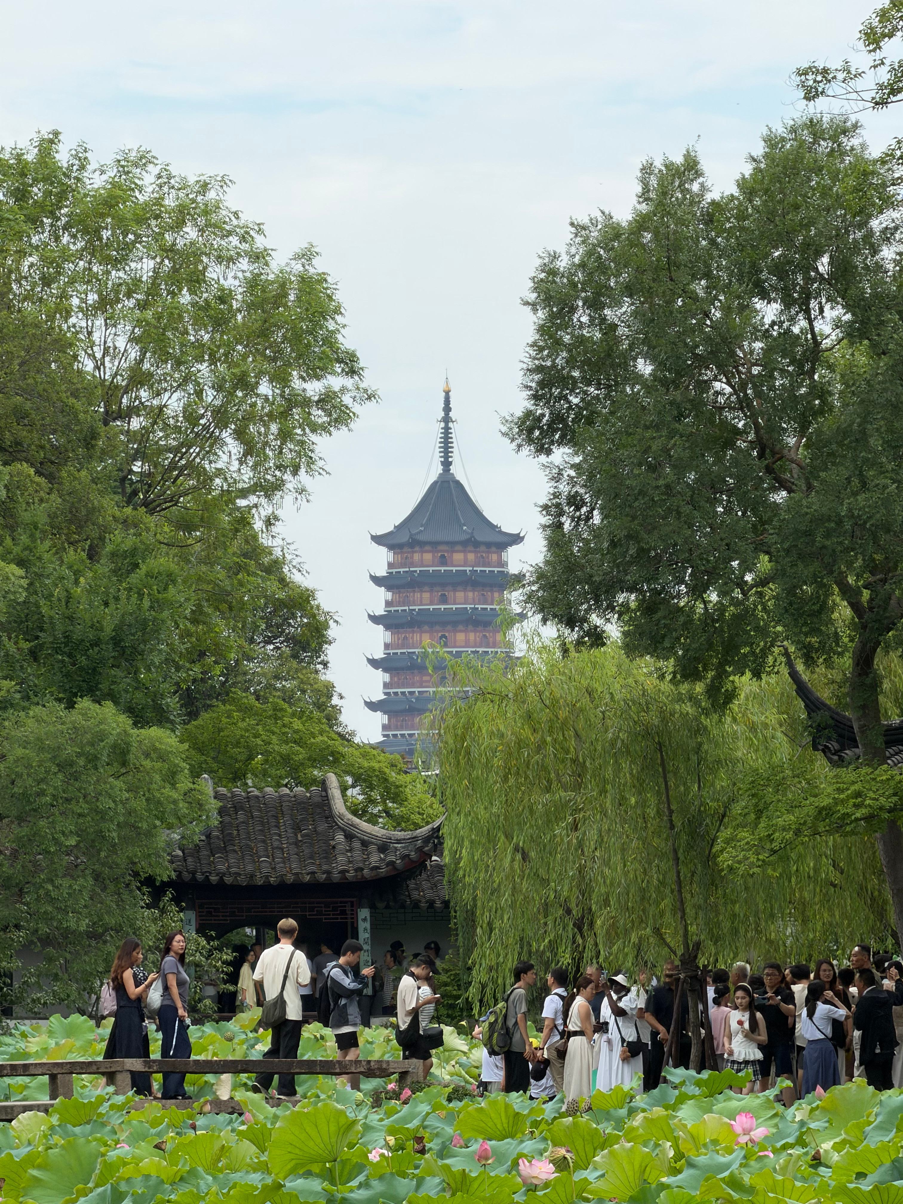 拙政园里面全是人…都是人早上去还可以…这次把园林都看了一遍，有荷花的时候比冬