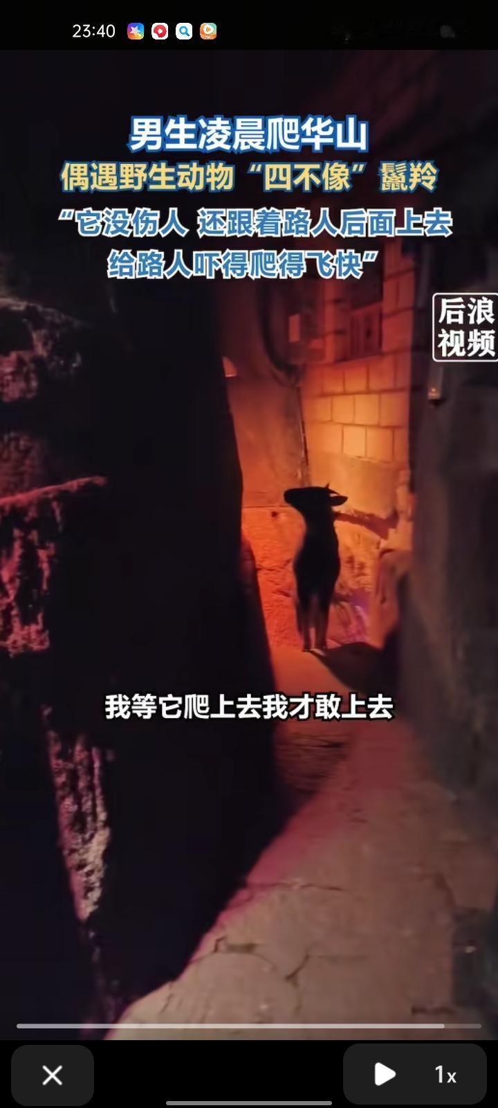 11月26日，渭南华阴市。男生凌晨一点多爬华山，到千尺幢白尺峡一带遇到“四不像”