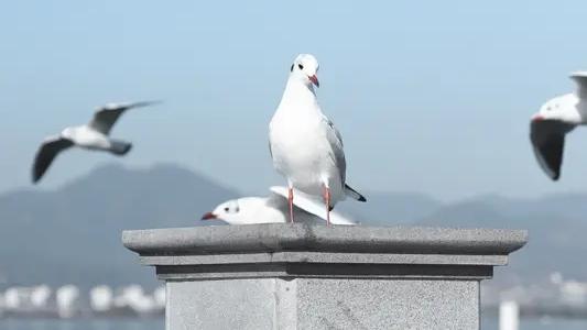 🔥9天长假怎么过？昆明人这样玩，朋友圈赞爆！昆明9天长假不堵车、不扎堆