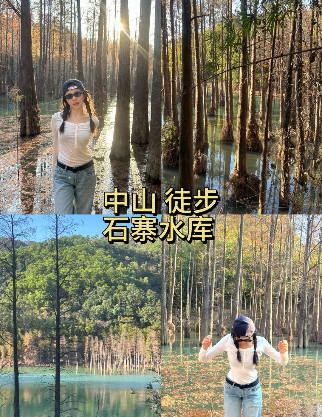 🌿石寨水库2026版本｜光秃秃的落羽杉📍路线&时间🕒全程大约2