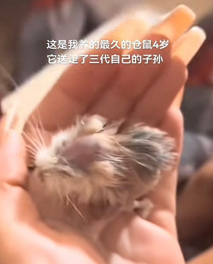 果然生命在于运动啊哈哈哈哈哈哈哈哈​​​