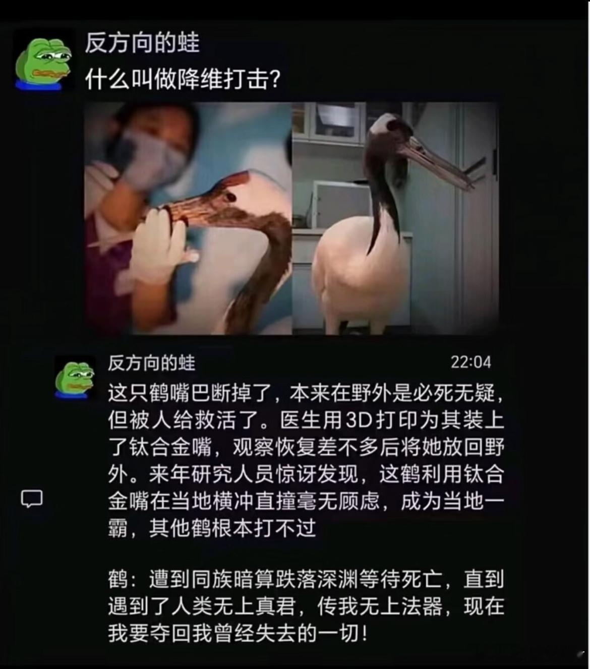 这就是降维打击的感觉吗？